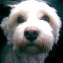 Benji