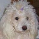 Lola