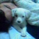 Jazmin