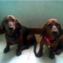 Rony y moa