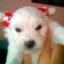 Blanquita
