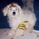 Blanquita
