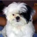 Taffy