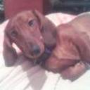 Rony