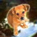 Canela