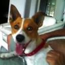 Jack
