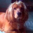 Lucas