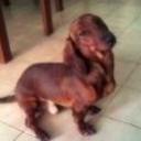 Rony