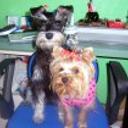 Susi y luna