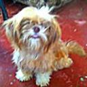 Roxy