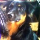 Braco