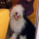 Patxi