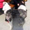 Patxi