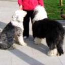 Patxi y nube