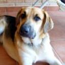 Lola