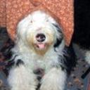 Patxi