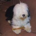 Patxi