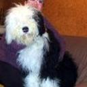 Patxi