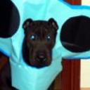 Tyson