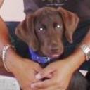 Choky