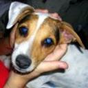 Pancho
