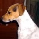 Pancho