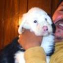 Patxi