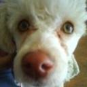Cloe