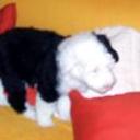 Patxi