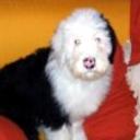 Patxi