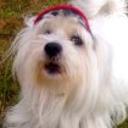 Rony