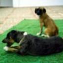 Beky y guache