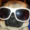 Lola