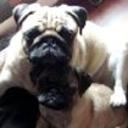 Teo y rita