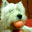 Pinki