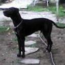 Jack