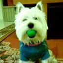 Pinki