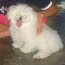 Britney pereda