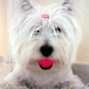 Pinki