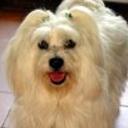 Rony