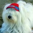 Rony