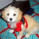 Snoopy