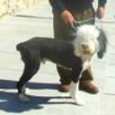 Patxi