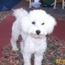 Isadora conejeros arriagada