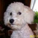 Isadora conejeros arriagada