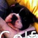 Golfo