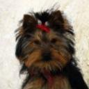 Lola