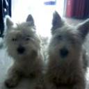Pinki y gina