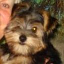 Jack