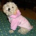 Lola
